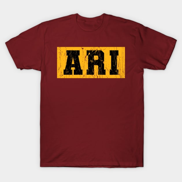 ARI / Cardinals T-Shirt by Nagorniak